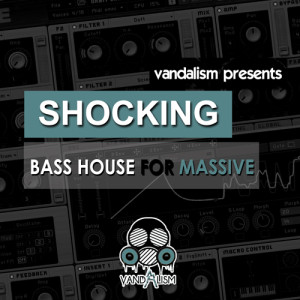 Vandalism Shocking Bass House Cover
