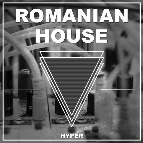 Hyper Romanian House