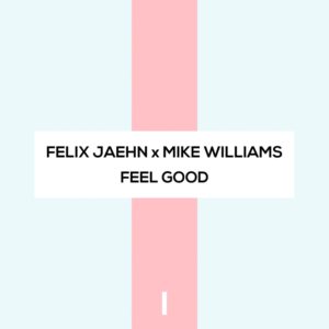 Felix Jaehn x Mike Williams - Feel Good(Studio Acapella)