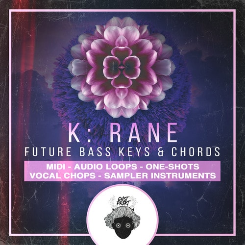 http://leasehost.co.uk/ynk-audio-serum-future-bass-presets/