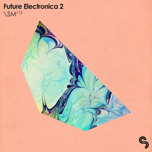 Future Electronica 2 MULTIFORMAT