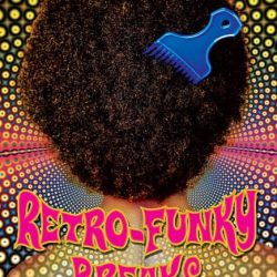 Big Fish Audio Retro Funky Breaks WAV
