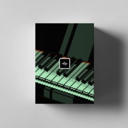 WavSupply Taz Taylor MIDI Money 3 (MIDI Kit) MiDi
