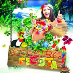 Big Fish Audio Electro Fiesta MULTIFORMAT