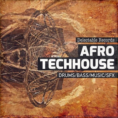 Delectable Records Afro TechHouse 01 MULTIFORMAT