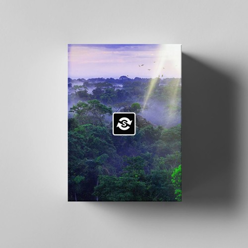 Sound Oracle Amazon Omnisphere Bank