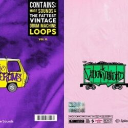 Splice Chuck Inglish Conundrums vol.1-2 WAV