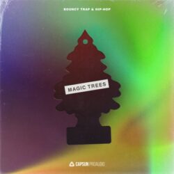 Magic Trees Bouncy Trap And Hip Hop