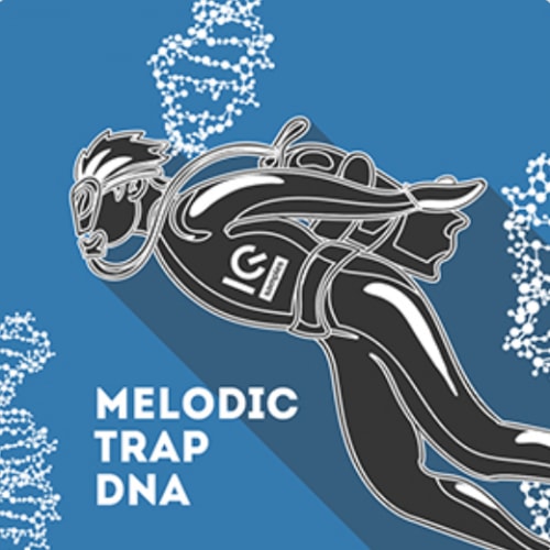Melodic Trap DNA
