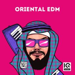 IQ Samples Oriental EDM Sample Pack