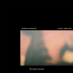 Snubnose Frankenstein Sample Pack WAV