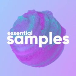 Sounds Like You The Essential Bundle MULTIFORMAT
