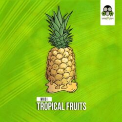 Vandalism Samples MIDI: Tropical Fruits