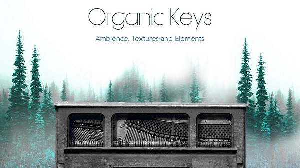 Organic Keys - AMbience, Textures & Elements WAV