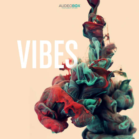 AudeoBox Vibes Kit Vol.1 WAV
