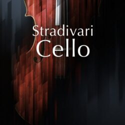 NI Stradivari Cello v1.0.0 Kontakt Library