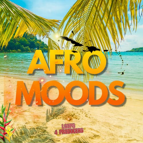 Loops 4 Producers Afro Moods WAV