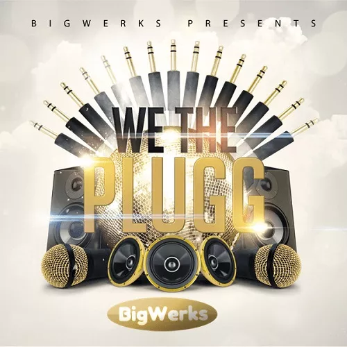 Big Werks We The Plugg [ElectraX Bank]