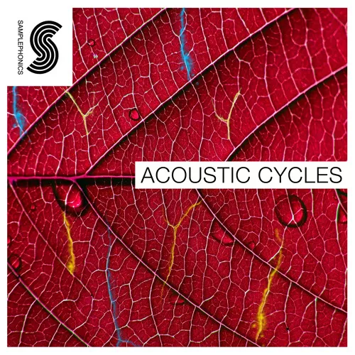 Samplephonics Acoustic Cycles MULTIFORMAT