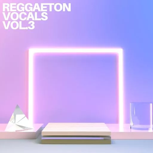 Diamond Sounds Reggaeton Vocals Vol.3 WAV