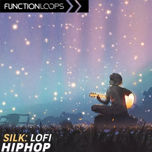 Function Loops Silk Lo-Fi Hip Hop