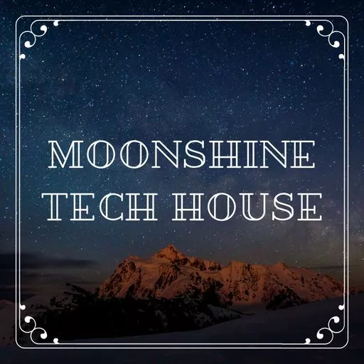 Beatrising Moonshine Tech House WAV
