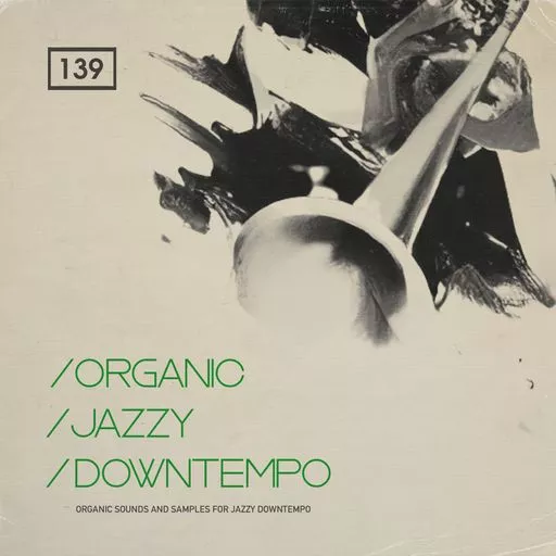 Bingoshakerz Organic Jazzy Downtempo WAV