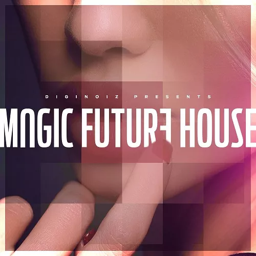 Diginoiz Magic Future House