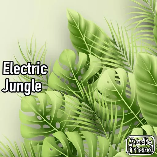 AudioFriend Electric Jungle WAV