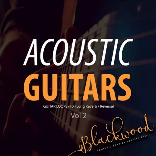 BLACKWOOD Samples Acoustic Guitars Vol.2