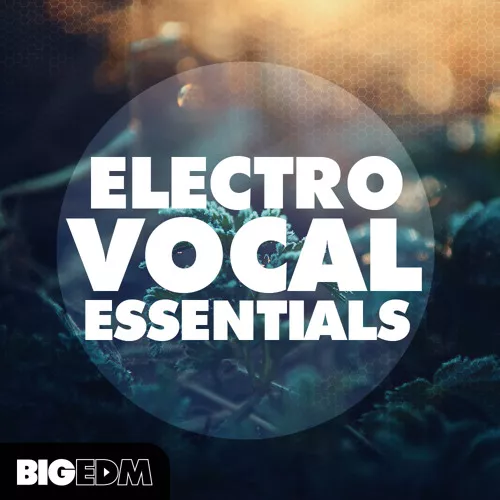 Big EDM Electro Vocal Essentials