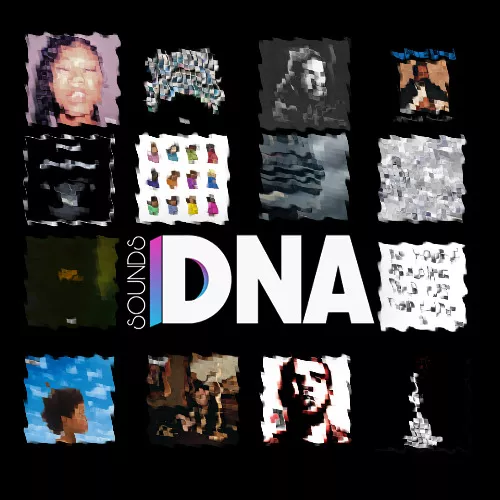 Billboard DNA Sounds DRAKE DNA Drumkit WAV
