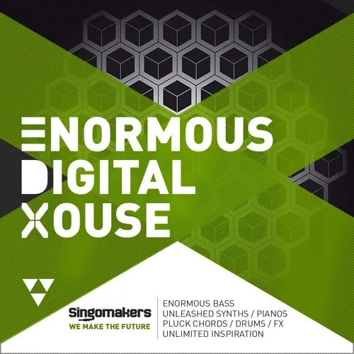 Singomakers Enormous Digital House [MULTIFORMAT]