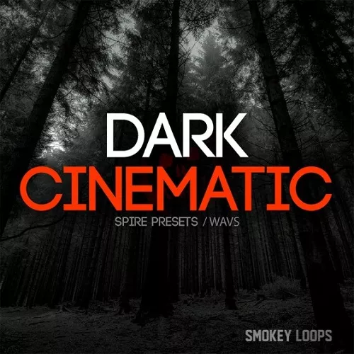 Smokey Loops Dark Cinematic