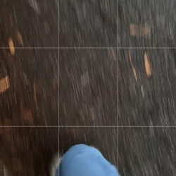 Martin Leib Pandora Kit WAV MIDI FST