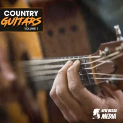 New Beard Media Country Guitars Vol.1 WAV