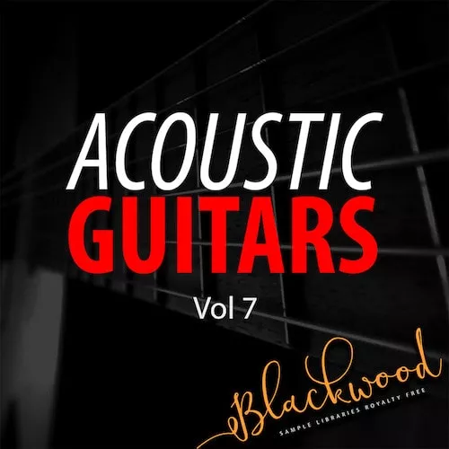 Blackwood Samples Acoustic Guitars Vol.7 WAV