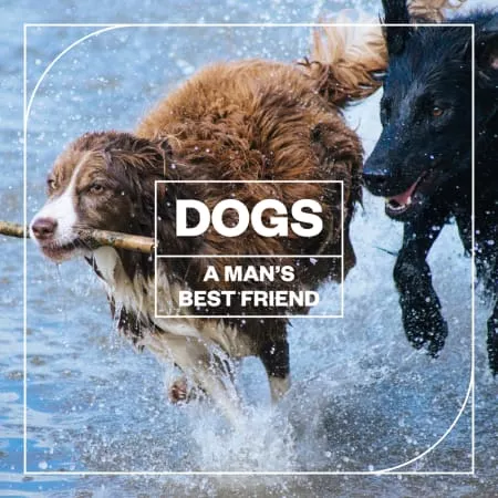 Blastwave FX Dogs: A Man's Best Friend WAV