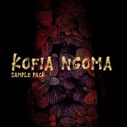 T-kid The Producer Kofia Ngoma - AfroPiano Sample Pack WAVMIDI