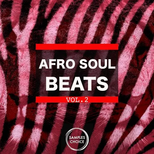 Samples Choice Afro Soul Beats Vol.2 WAV