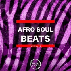 Samples Choice Afro Soul Beats Vol.3 WAV