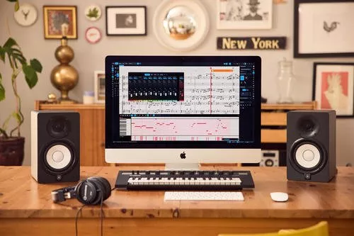 Steinberg Dorico Pro v5.0.0 WIN