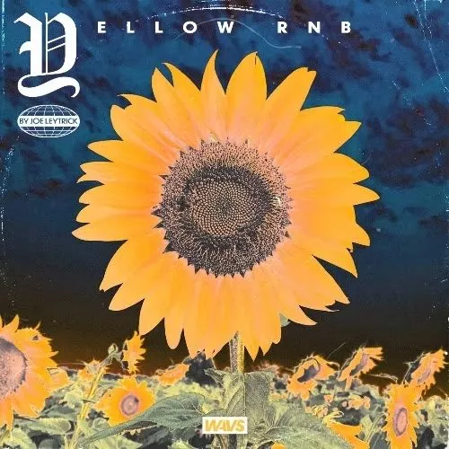 Joe Leytrick Yellow RNB Guitar Kit WAV