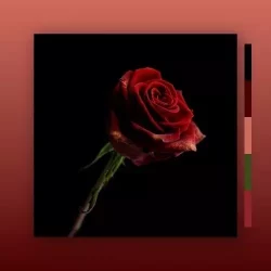 MarcDBeats Rose WAV