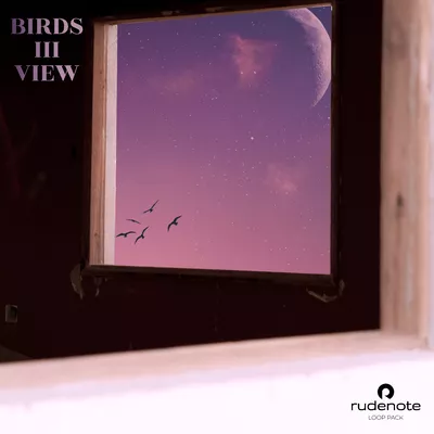 Rudenote Birds iii View WAV