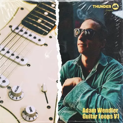 Thunder Samples Adam Wendler Guitar Vol.1 WAV