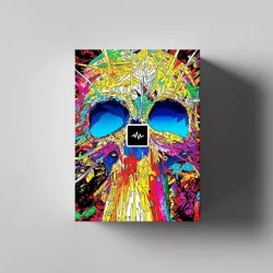 WavSupply JRHITMAKER Infrared (Melody + Drum Midi)