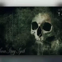 Witch Pig Seven String Synth KONTAKT