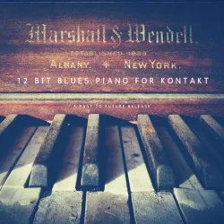 PastToFutureReverbs 12 Bit Blues Piano [KONTAKT]