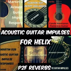 PastToFutureReverbs Acoustic Guitar IR's for Helix BUNDLE! Bonus D-45! WAV